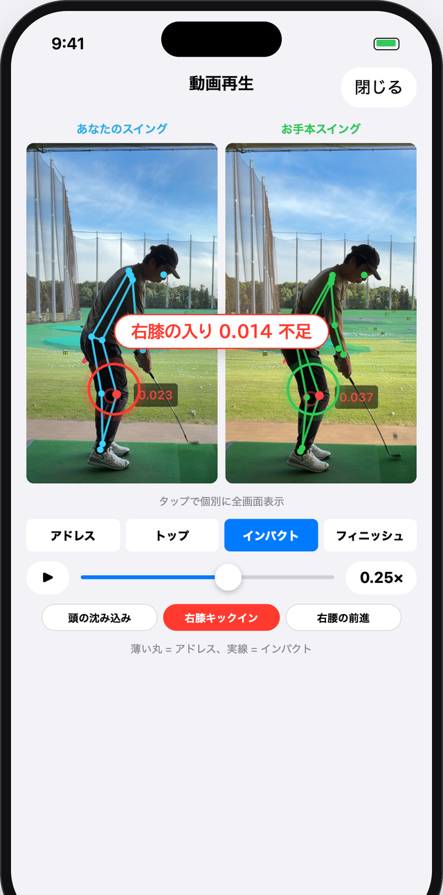 動画再生 — 自分とお手本を並べて骨格比較